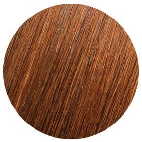 Showpony - 20" 3 IN 1 HALO BOXSET 6G CHESTNUT