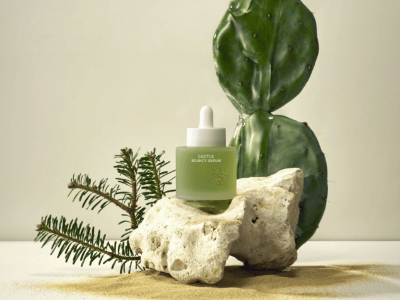 Stillleben mit Bouncy Cactus Serum von Whamisa vor Kaktus und auf Stein