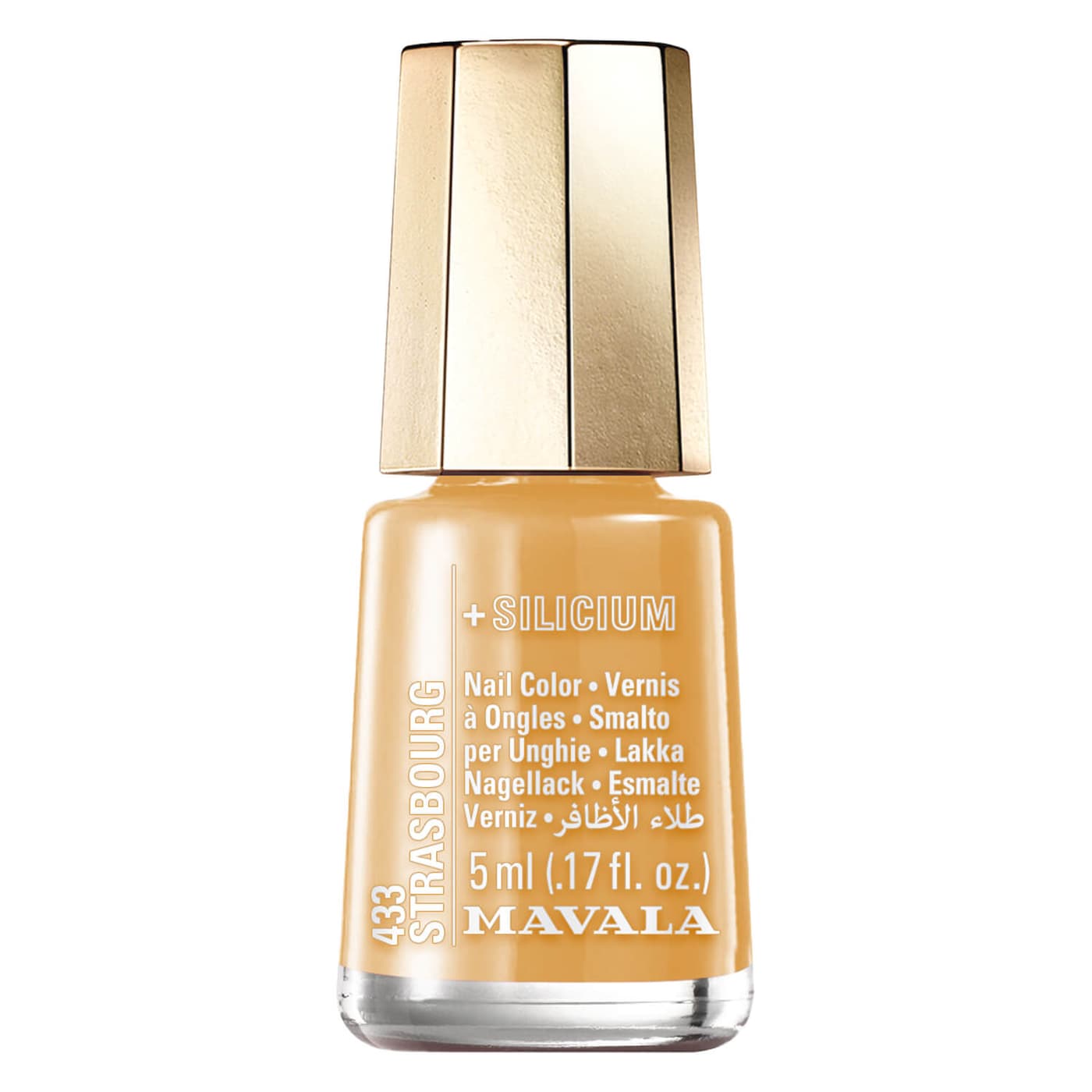 Mini Color's - Strasbourg 433