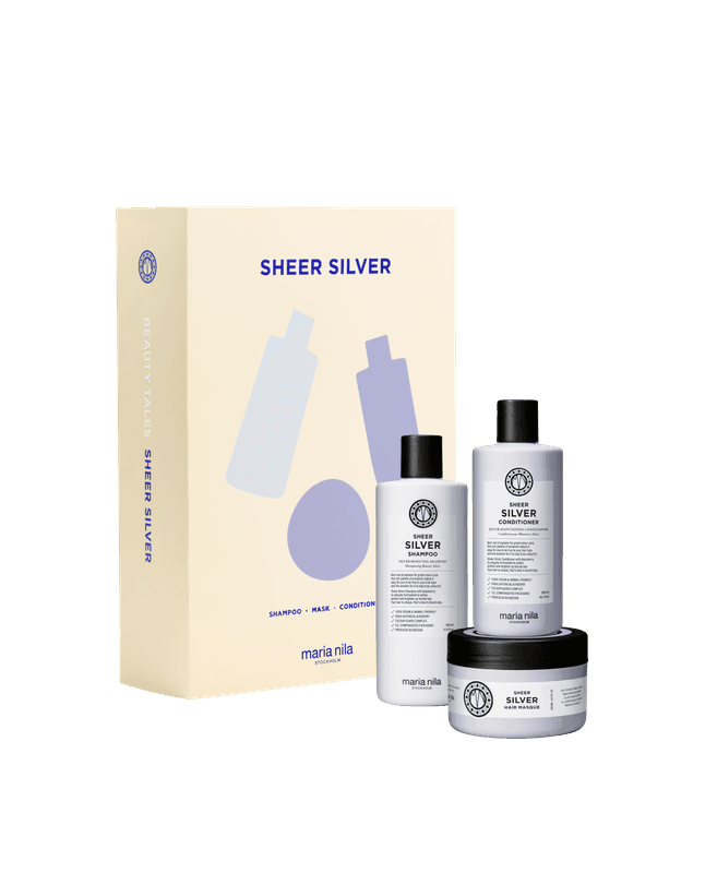 Care & Style - Sheer Silver Holiday Box 2024